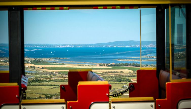 les petits trains du cap agde journées groupes ou entreprises activités ludiques