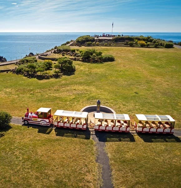 Comfortable walks aboard our wagons with translucent roofs