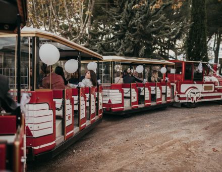activities to do in cap d'agde the little trains birthday visit, wedding rental in small