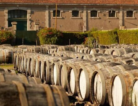 visit of the cellars the little trains essential thing in cap d'agde